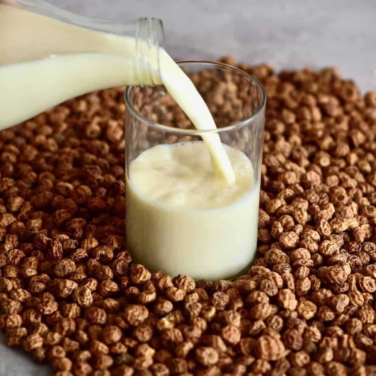 Rezept für Erdmandelmilch Milk My Nuts