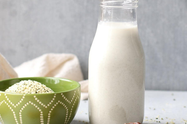 Rezept für Hanfsamenmilch